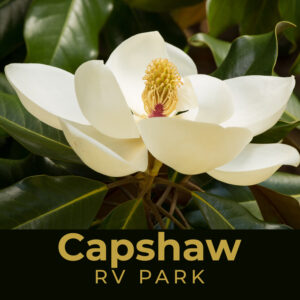 Food Court Sponsor Capshaw RV Park LOGO